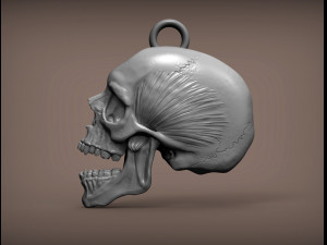 skull 3d print model 3D Print Model