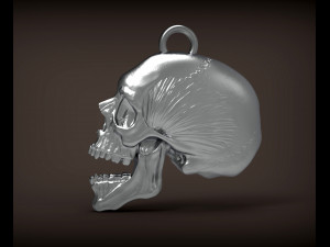 Skull 3d print model Modelo de impresión 3D