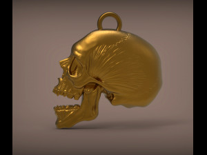 Skull 3d print model Modelo de impresión 3D