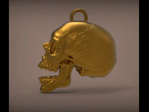 Skull 3d print model 3D Print Model