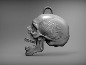Skull 3d print model Modelo de impresión 3D