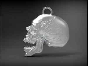 Skull 3d print model 3D Print Model