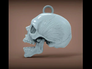 Skull 3d print model 3D Print Model