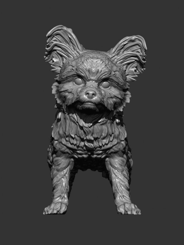 Yorkshire terrier 3d print model 3D प्रिंट मॉडल .c4d .max .obj .3ds .fbx .stl .blend
