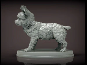 Yorkshire terrier 3d print model 3D Print Model