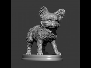 Yorkshire terrier 3d print model 3D प्रिंट मॉडल
