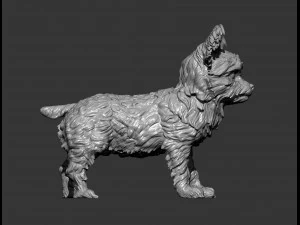Yorkshire terrier 3d print model 3D Print Model