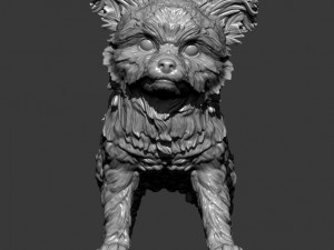 Yorkshire terrier 3d print model 3D प्रिंट मॉडल