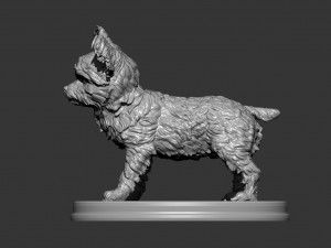 Yorkshire terrier 3d print model 3D प्रिंट मॉडल