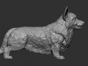 Corgi 3d print model 3D Print Model