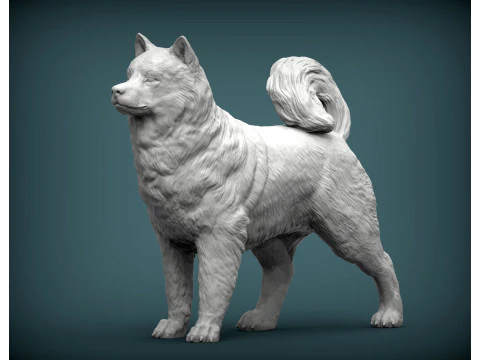 Alaskan Malamute 3D Print Model