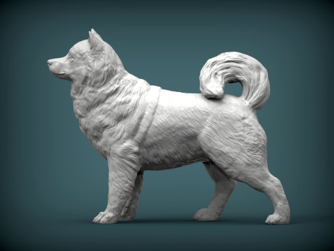Alaskan Malamute Modello di stampa 3D