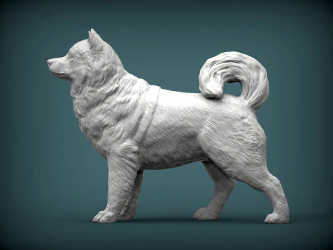 アラスカンマラミュート 3Dプリントモデル