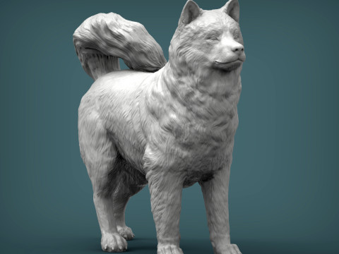Alaskan Malamute Modello di stampa 3D
