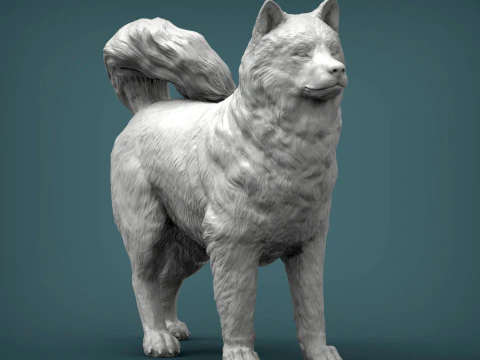 アラスカンマラミュート 3Dプリントモデル