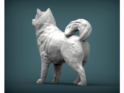 Alaskan Malamute Modello di stampa 3D