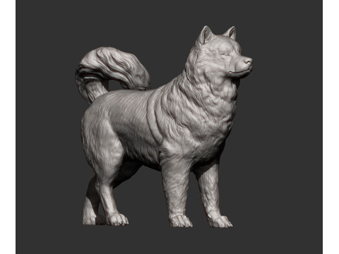 Alaskan Malamute Modello di stampa 3D