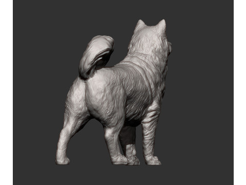Alaskan Malamute Modello di stampa 3D