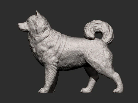 アラスカンマラミュート 3Dプリントモデル