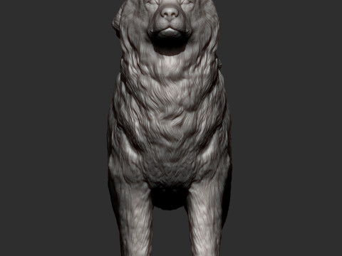 Alaskan Malamute Modello di stampa 3D