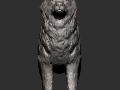 アラスカンマラミュート 3Dプリントモデル