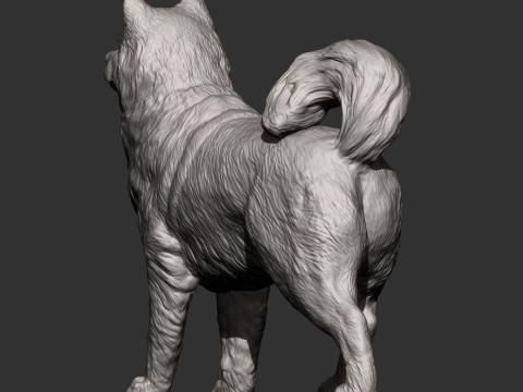 Alaskan Malamute Modello di stampa 3D