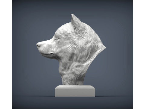 Alaskan Malamute Model do druku 3D