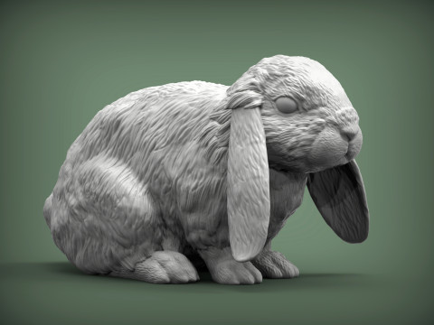 American Fuzzy Fop 3D Принт Модель