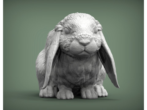 American Fuzzy Fop Modelo de Impressão 3D