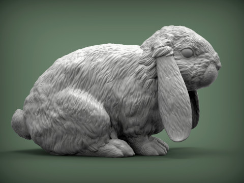 American Fuzzy Fop Modelo de Impressão 3D