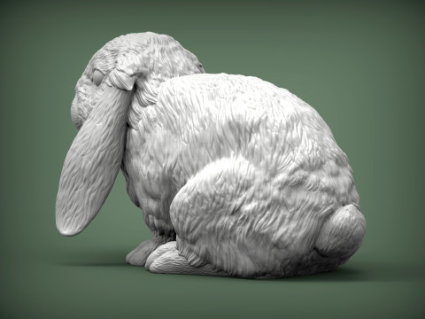 American Fuzzy Fop Modelo de Impressão 3D