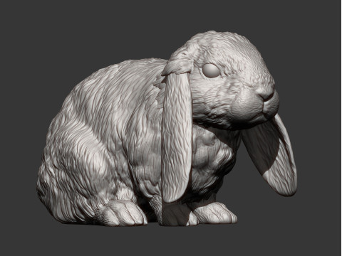 American Fuzzy Fop Modelo de Impressão 3D