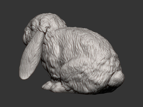 American Fuzzy Fop Modelo de Impressão 3D