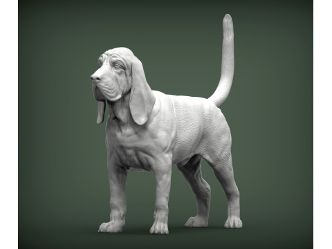 BLOODHOUND 3D Print Model