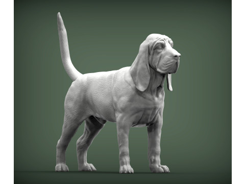 BLOODHOUND 3D प्रिंट मॉडल