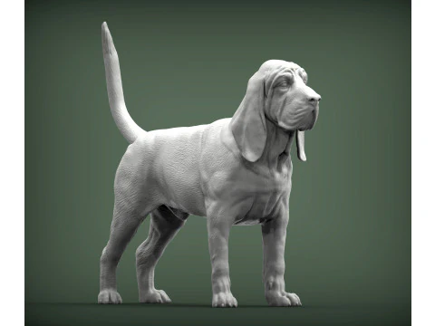 BLOODHOUND 3D Print Model