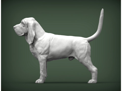 BLOODHOUND 3D प्रिंट मॉडल