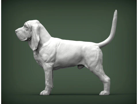 BLOODHOUND 3D Print Model