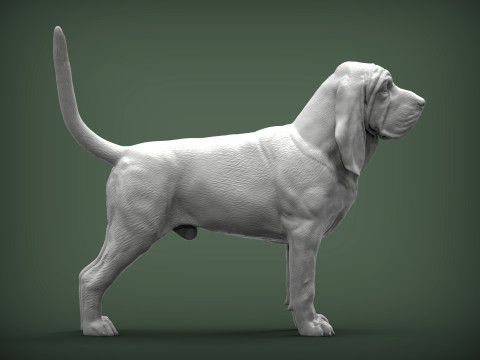 BLOODHOUND 3D प्रिंट मॉडल