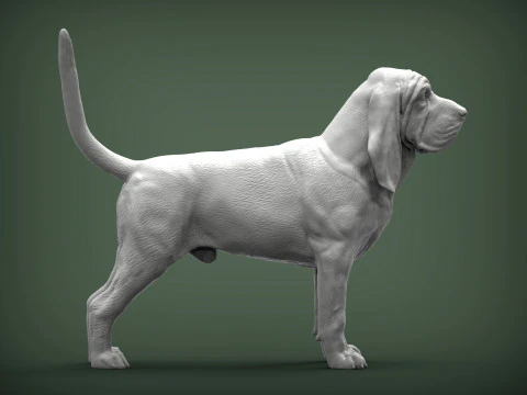 BLOODHOUND 3D Print Model