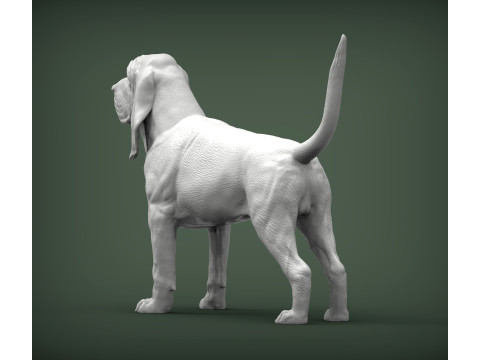 BLOODHOUND 3D प्रिंट मॉडल