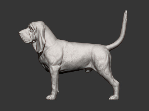 BLOODHOUND 3D प्रिंट मॉडल