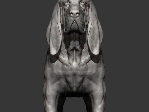BLOODHOUND 3D Print Model