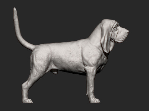 BLOODHOUND 3D प्रिंट मॉडल