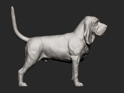 BLOODHOUND 3D Print Model