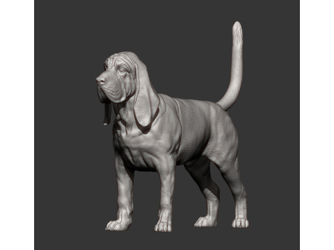 BLOODHOUND 3D प्रिंट मॉडल