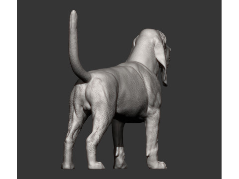BLOODHOUND 3D प्रिंट मॉडल
