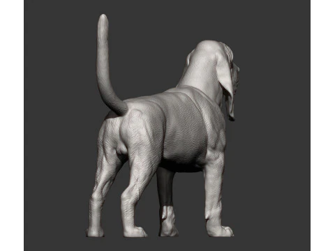 BLOODHOUND 3D Print Model