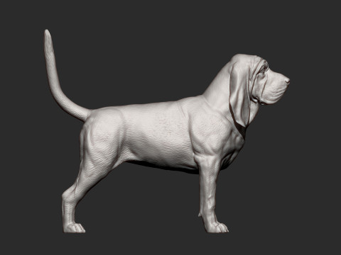 BLOODHOUND 3D प्रिंट मॉडल