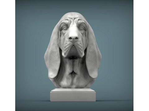 BLOODHOUND Model do druku 3D